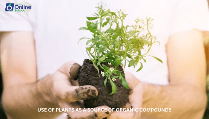 Lesson 05: Use of Plants as a Source of Organic Compounds
